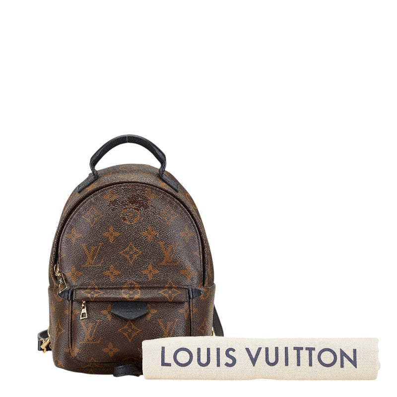 Louis Vuitton Palm Springs Mini Backpack M44873