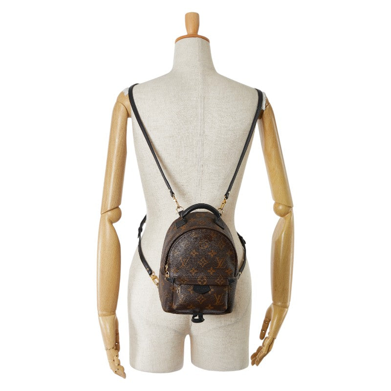 Louis Vuitton Palm Springs Mini Backpack M44873