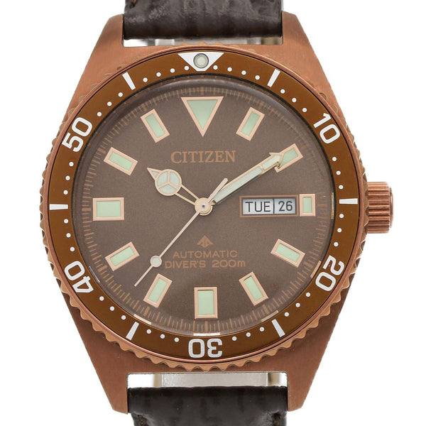 Citizen Promaster Stainless Steel Automatic