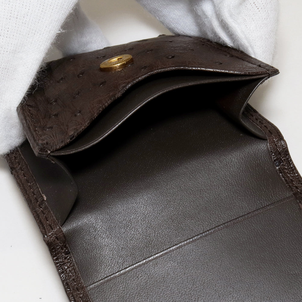 Ostrich Coin Case Brown