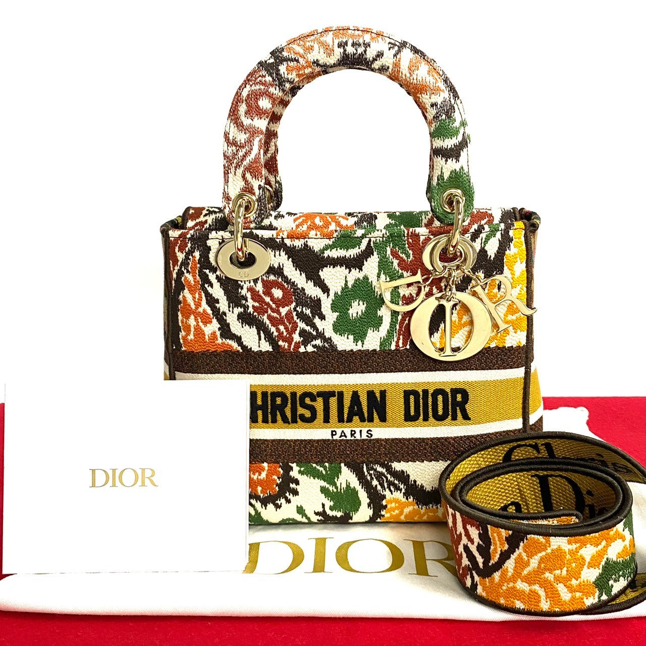 Dior Medium Embroidered Lady D-Lite Bag  Canvas Handbag in Excellent condition