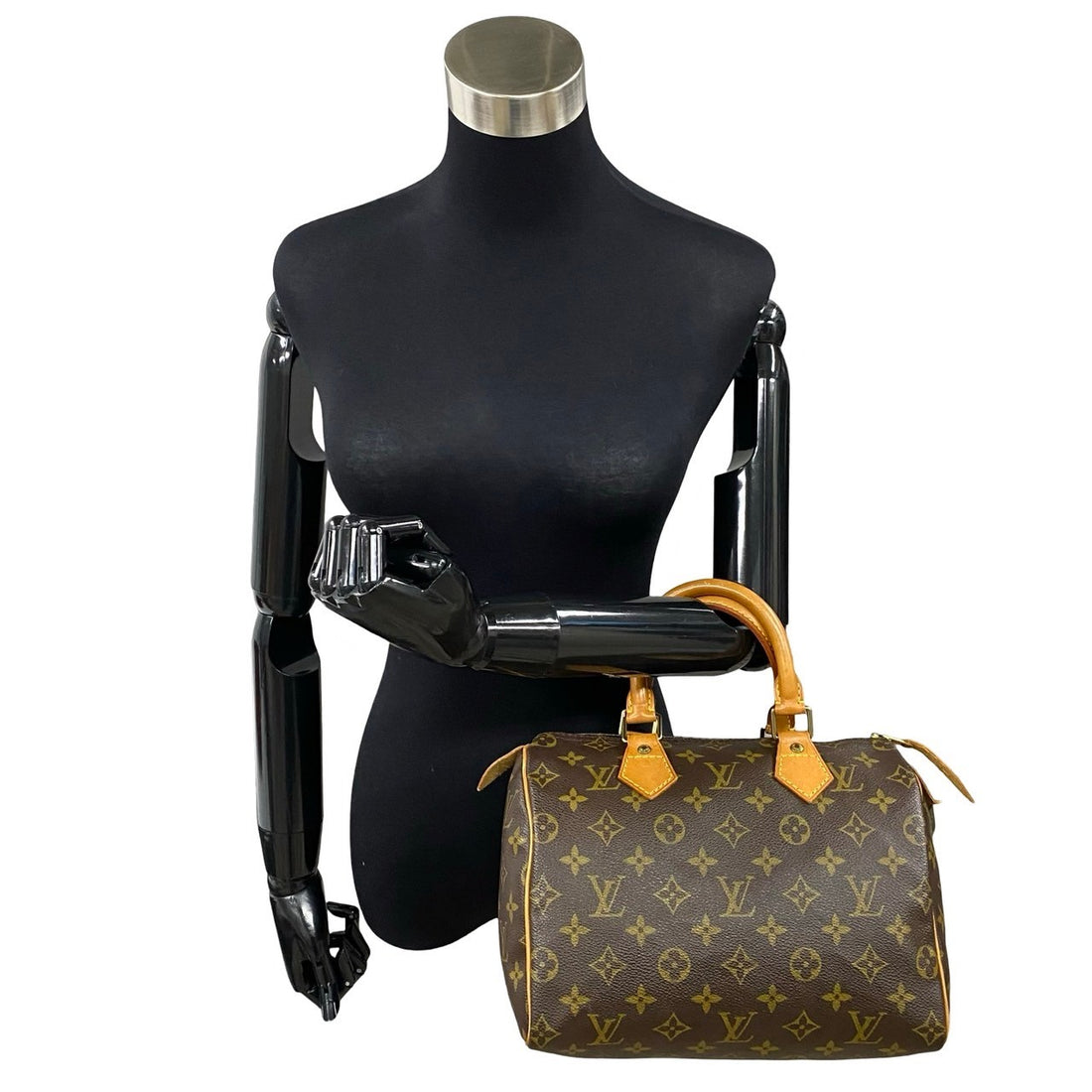 Louis Vuitton Speedy 25 Canvas Handbag M41528