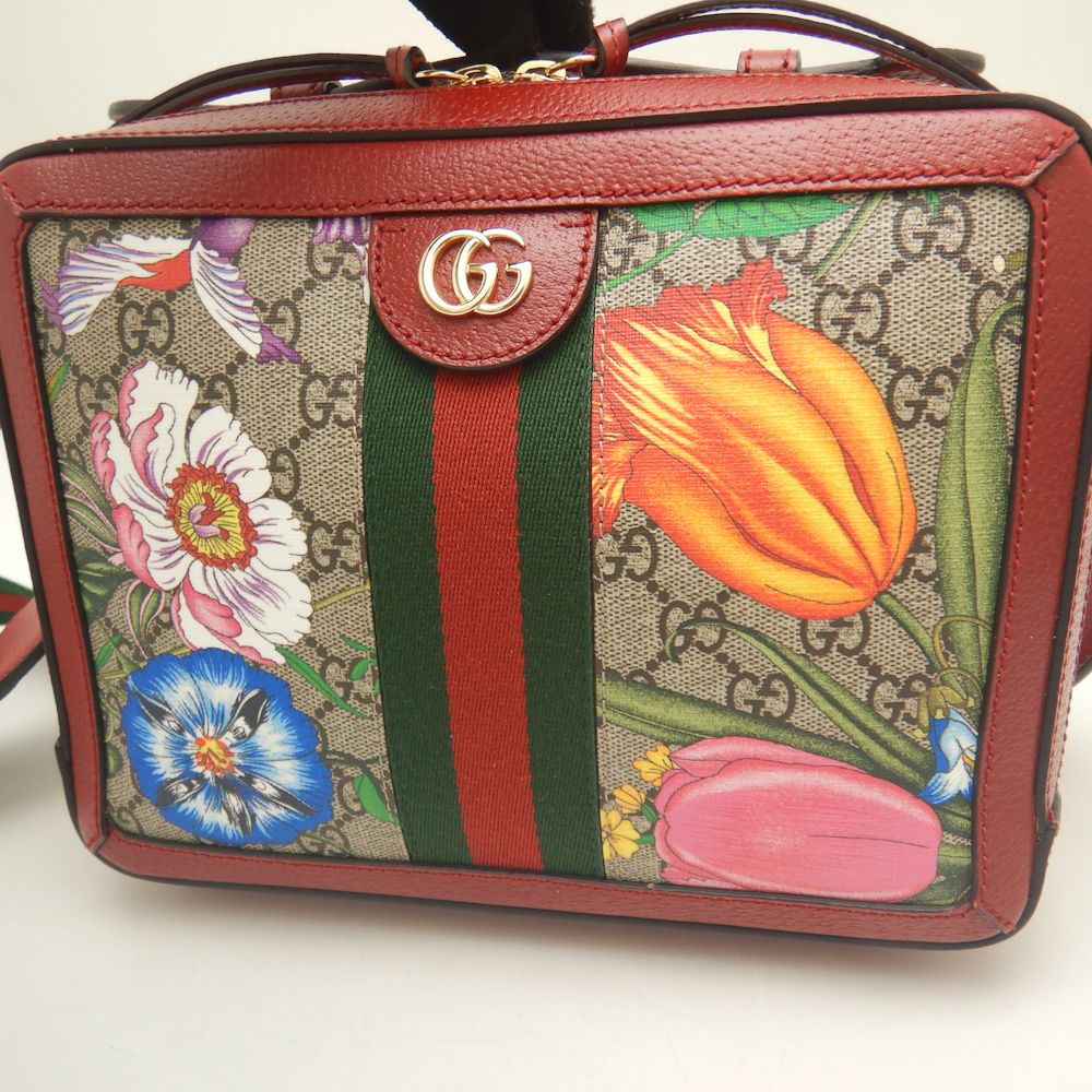 Gucci Ophidia Flora 2WAY Shoulder Bag