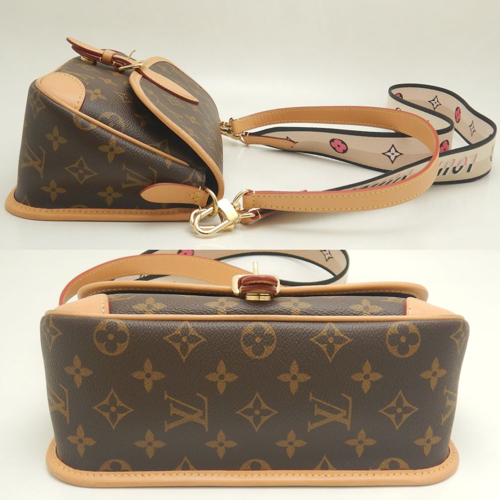 Louis Vuitton Monogram Diane NM PM Shoulder Bag