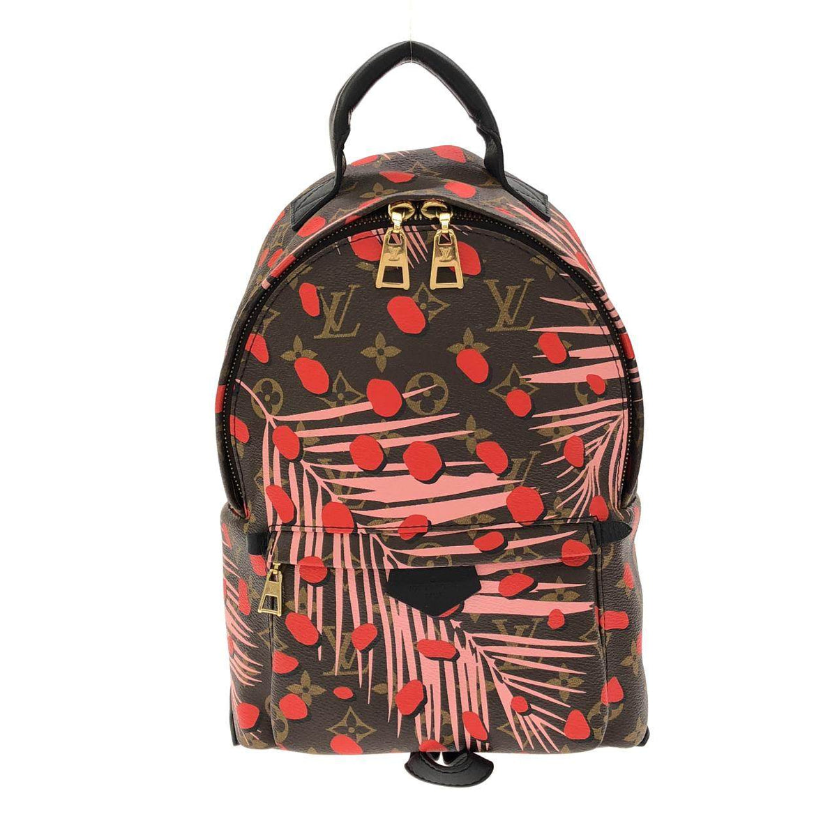 Louis Vuitton Monogram Palmsprings Backpack