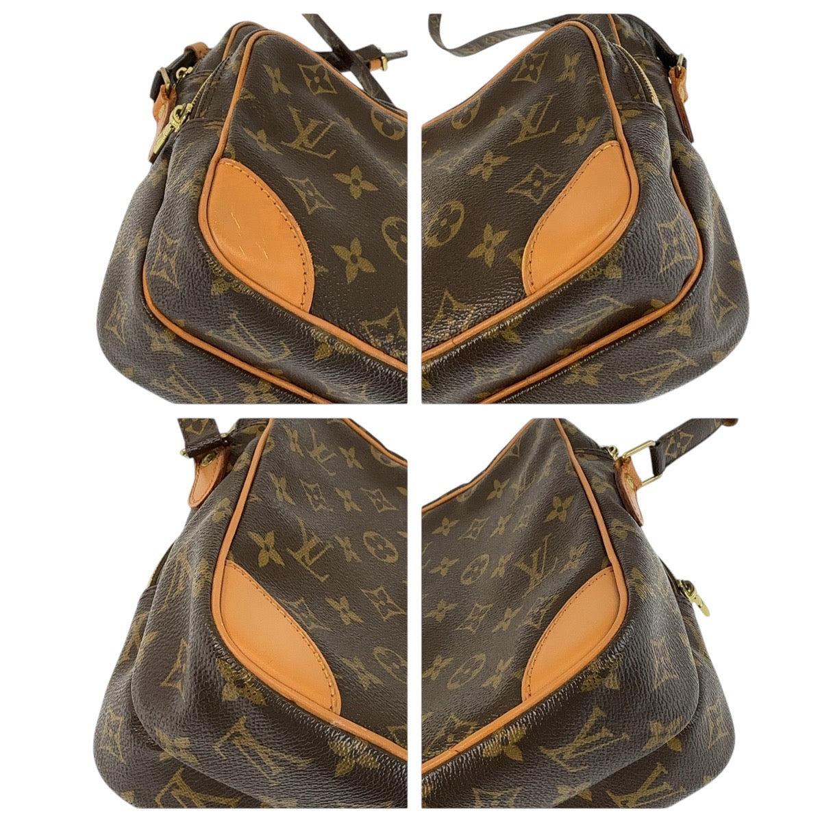 Louis Vuitton Monogram Amazon Shoulder Bag