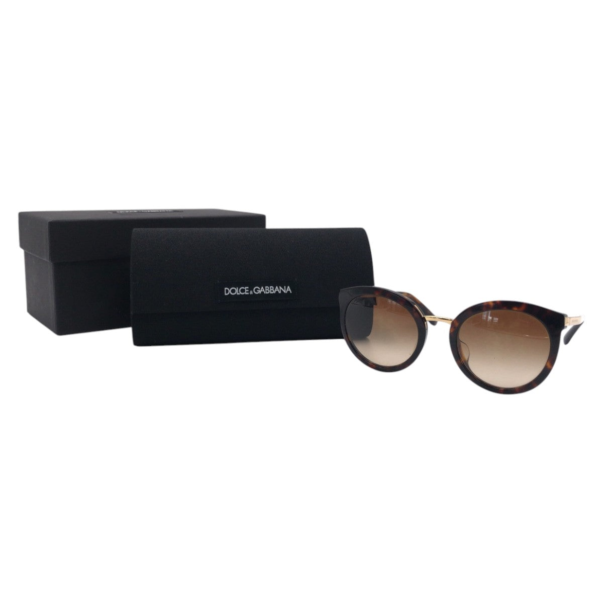 Dolce & Gabbana Plastic Sunglasses DG4268-F