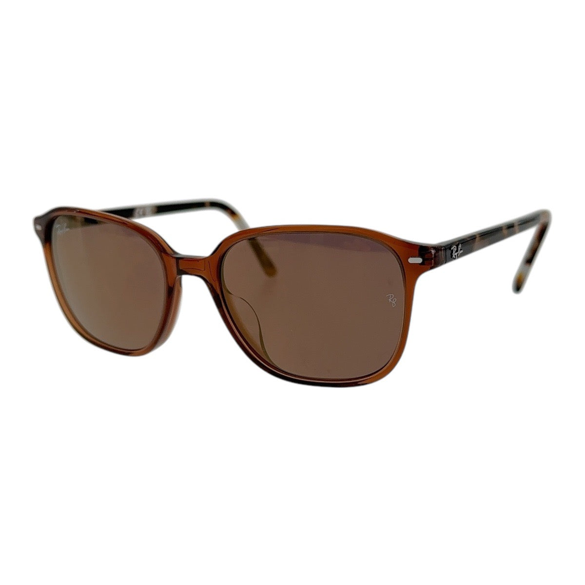 Ray-Ban Leonard Plastic Sunglasses RB2193F