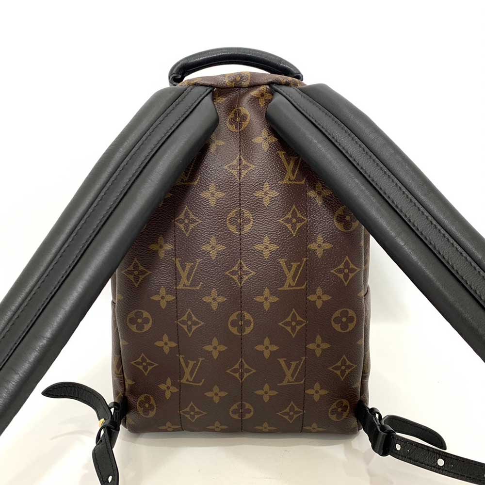 Louis Vuitton Palm Springs Backpack PM Brown Black