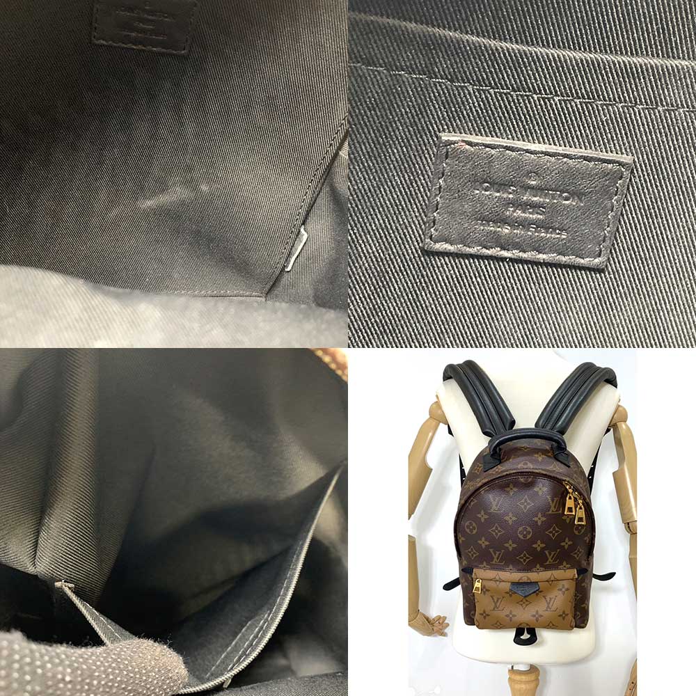 Louis Vuitton Palm Springs Backpack PM Brown Black