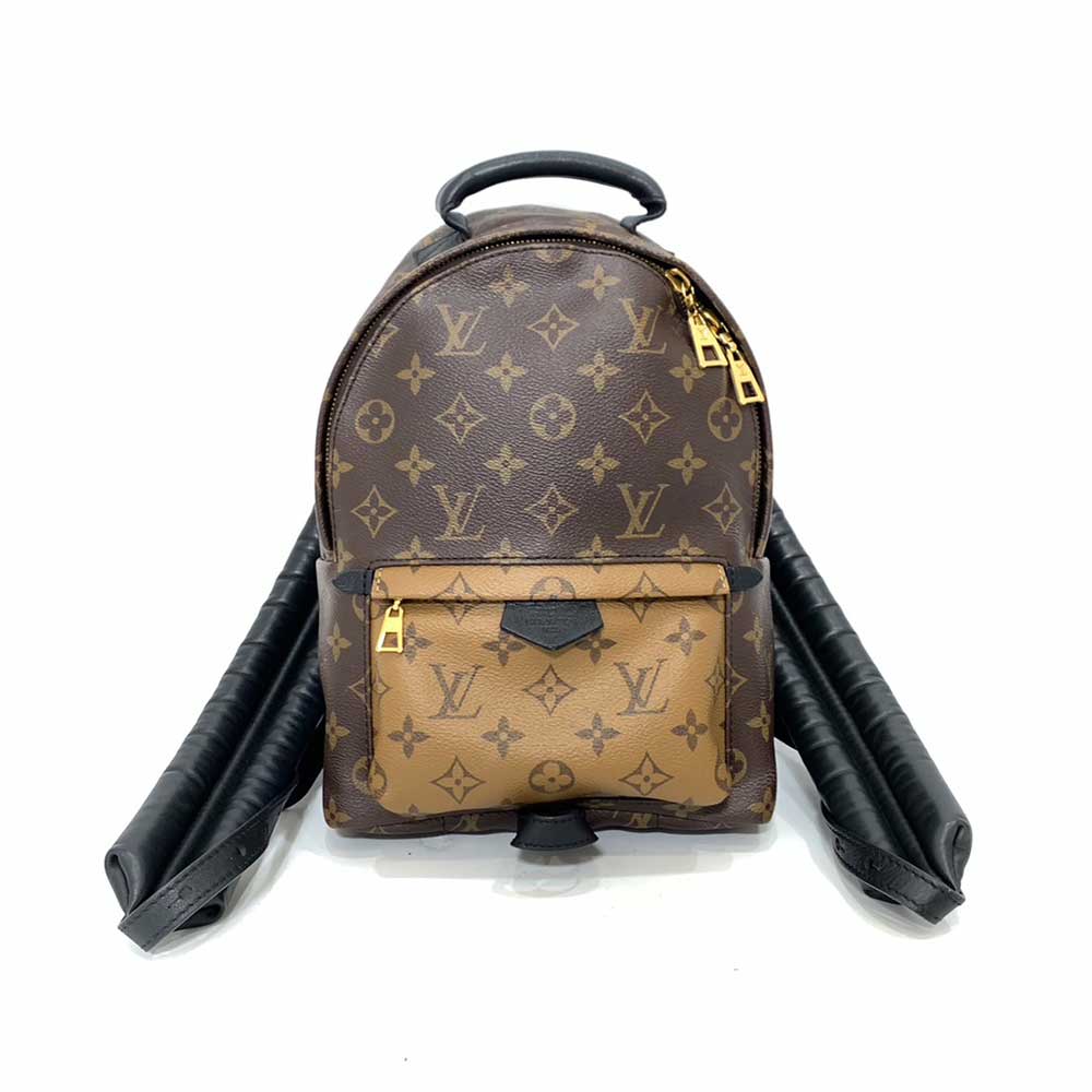 Louis Vuitton Palm Springs Backpack PM Brown Black