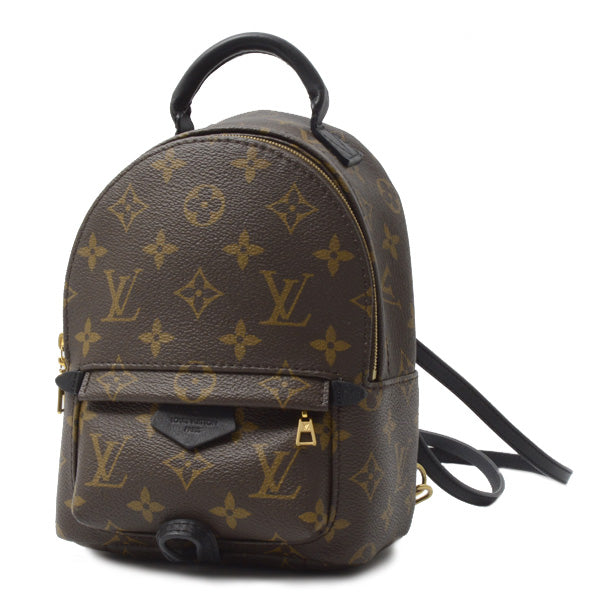 Louis Vuitton Monogram Palm Springs Mini Backpack M44873