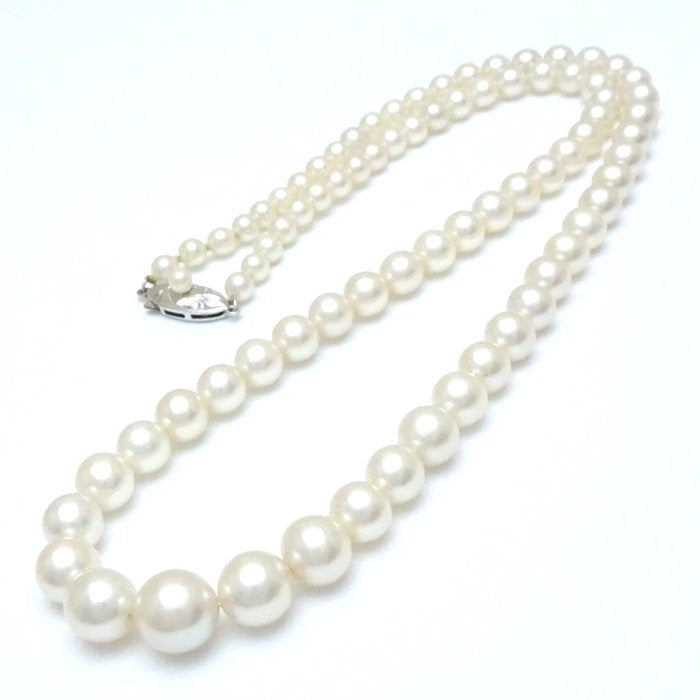 Akoya Pearl Necklace Pt Platinum