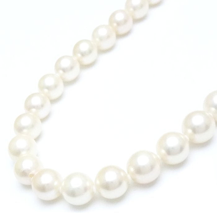 Akoya Pearl Necklace Silver Plated