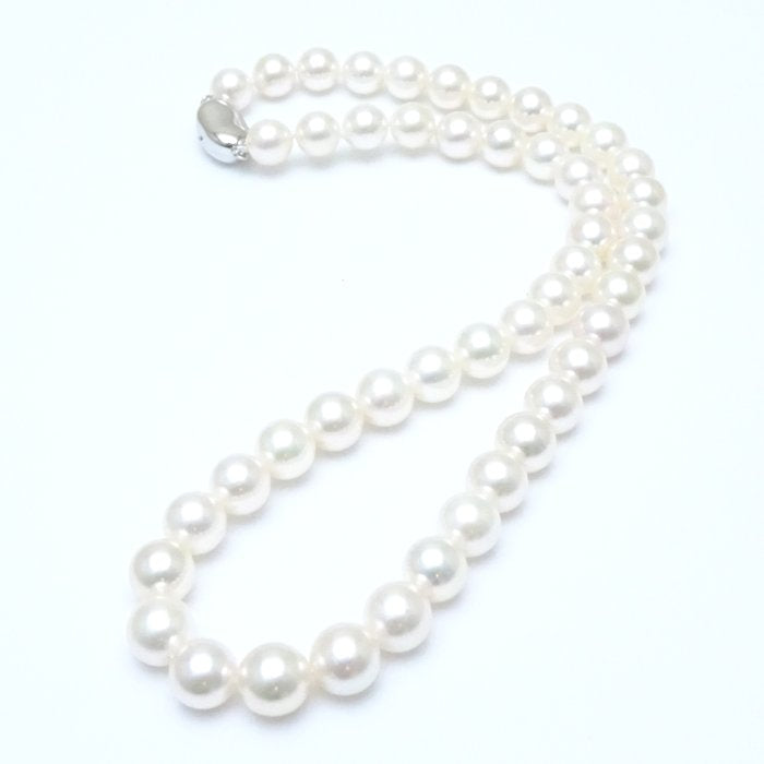 Akoya Pearl Necklace Silver 8-8.5mm