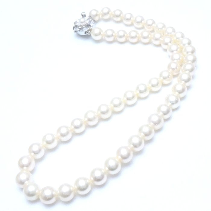 Akoya Pearl Necklace 8-8.5mm Silver