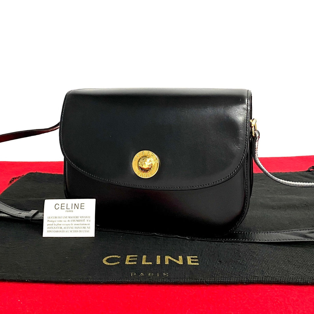 Celine Leather Crossbody Bag Leather Crossbody Bag in Very Good Condition