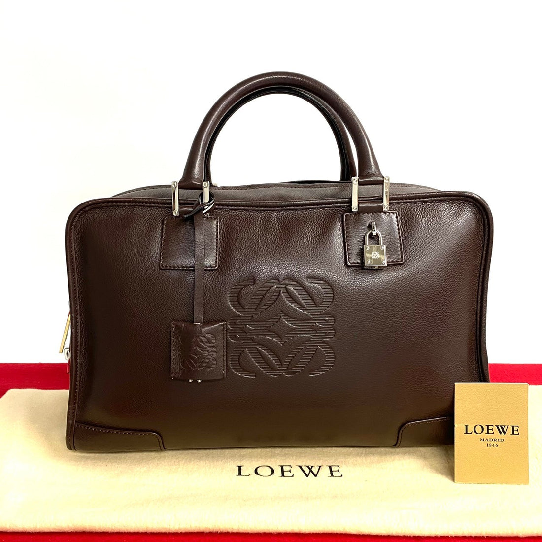 Loewe Leather Amazona 36 Leather Handbag