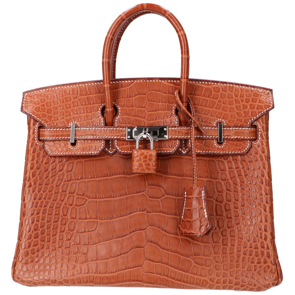 Hermes Birkin25 Alligator Matte