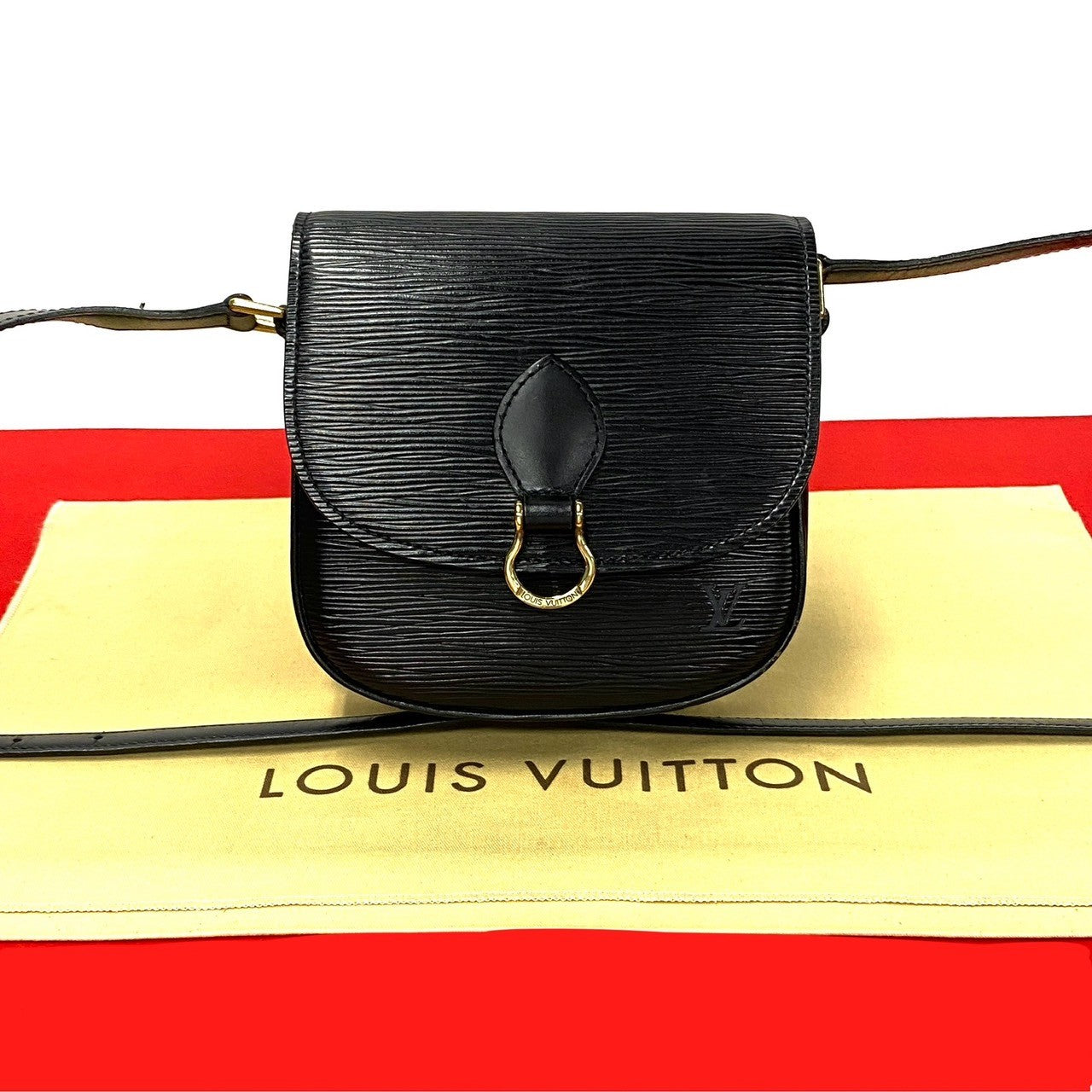 Louis Vuitton Saint Cloud PM Leather Crossbody Bag in Very Good Condition