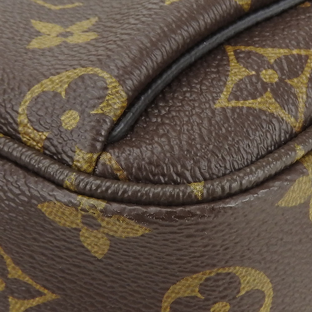 Louis Vuitton Monogram Waist Bag M43828