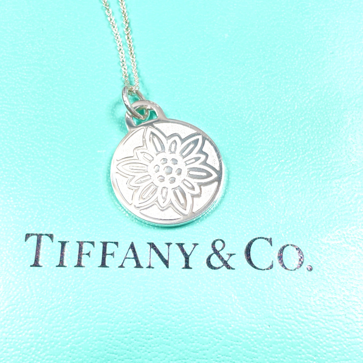 Tiffany & Co Silver 925 Necklace 2023