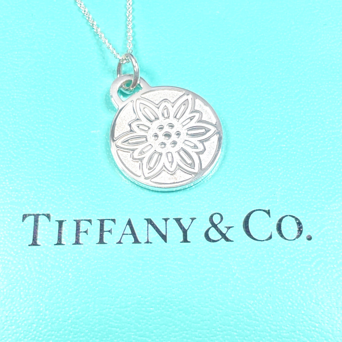 Tiffany & Co Silver 925 Necklace 2023