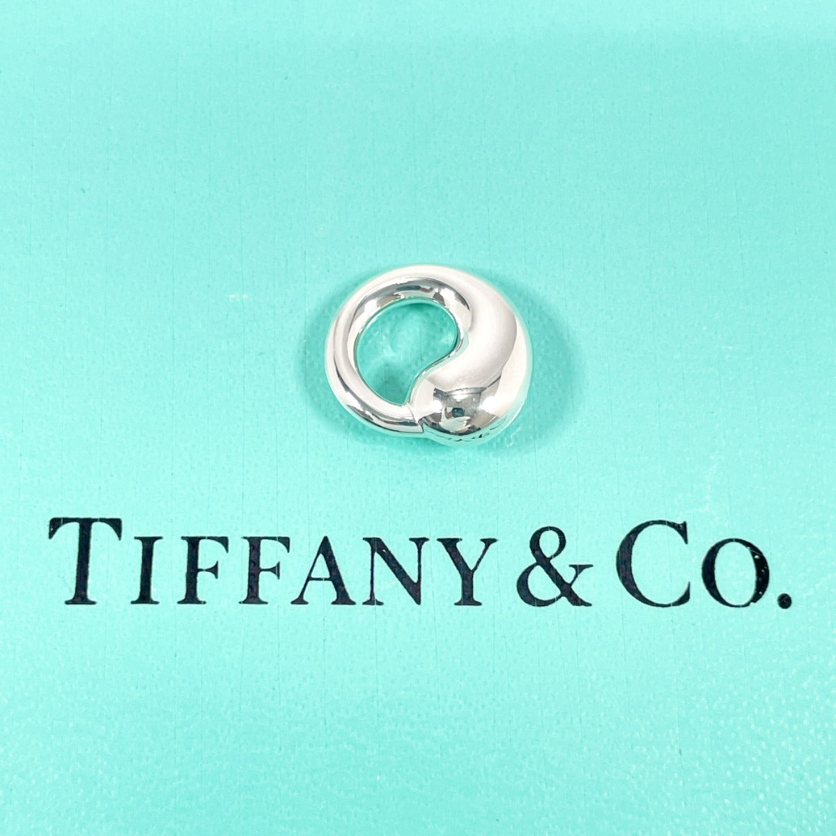 Tiffany & Co Silver Eternal Circle Pendant