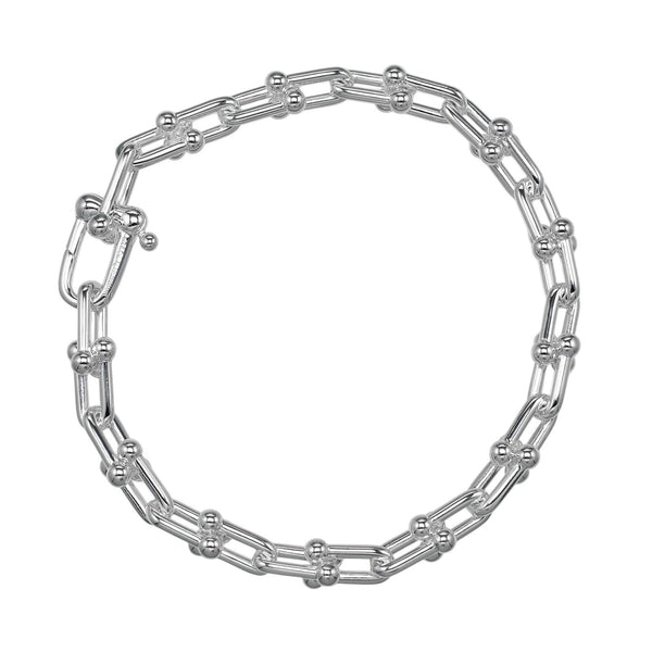 TIFFANY&Co. HardWear Small Link Silver Bracelet