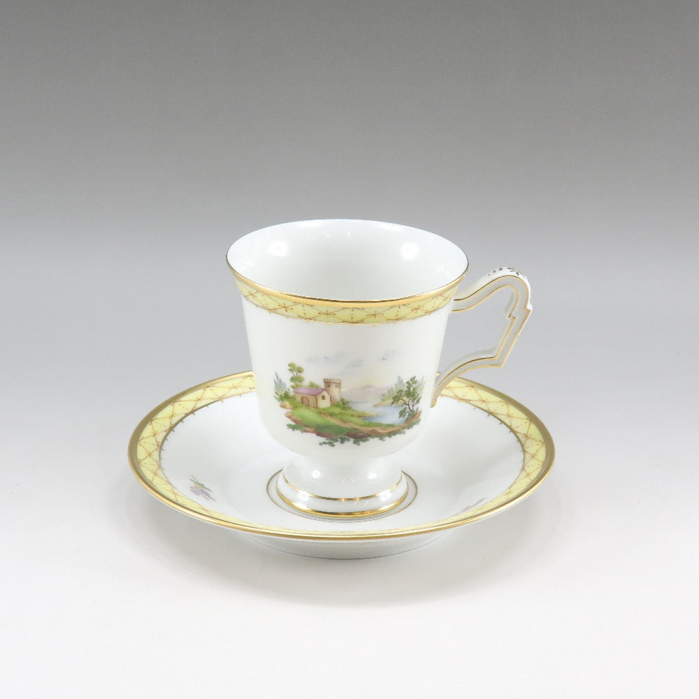 HOCHST Hofrat Porcelain Cup & Saucer