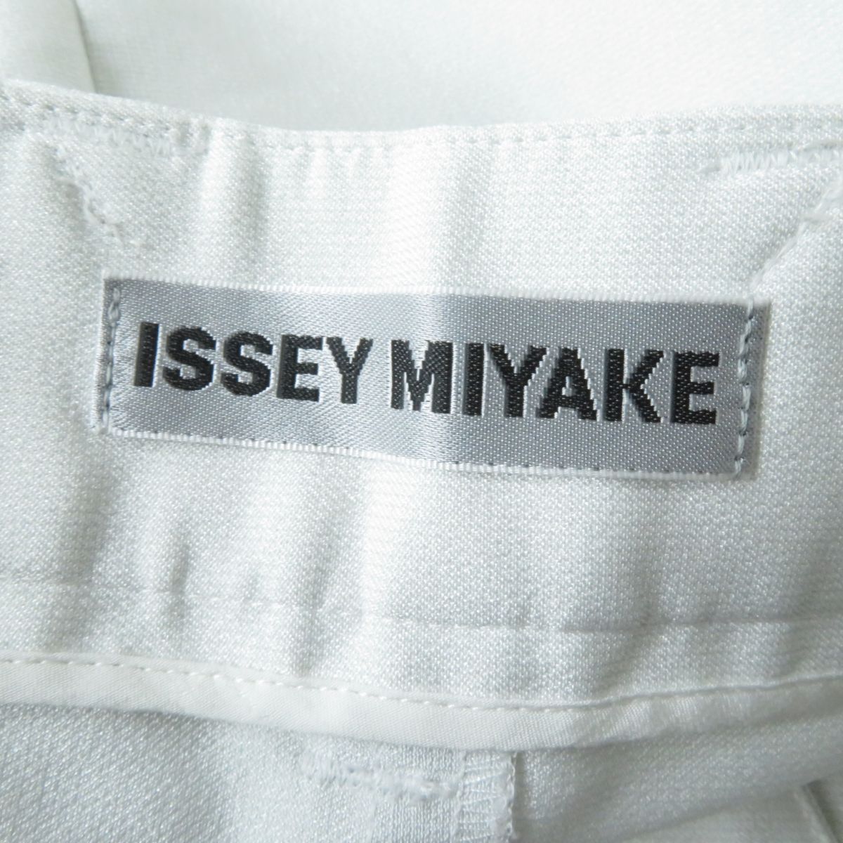 Issey Miyake Pleated Wide Pants Light Gray