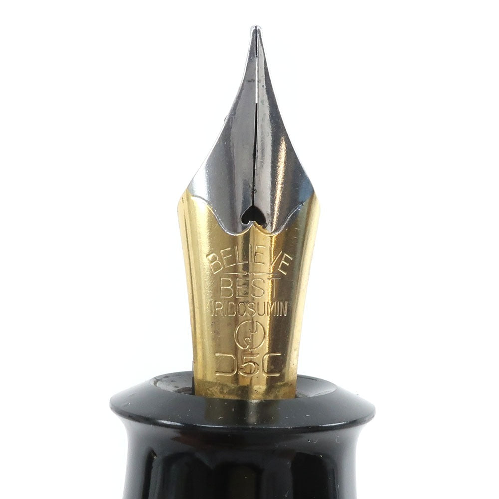 CRYSTAL Resin Fountain Pen Black