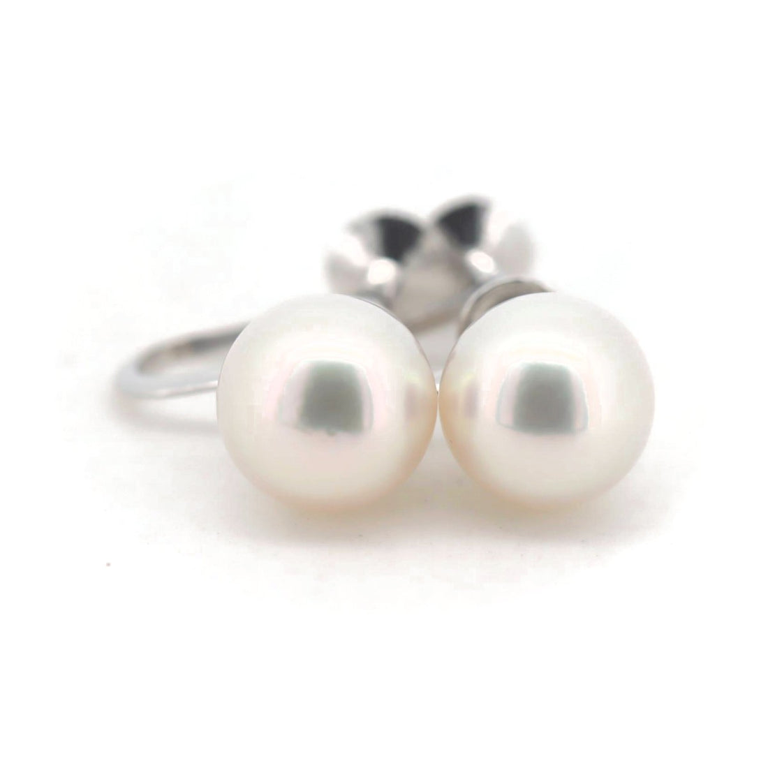 Tasaki K14WG Pearl Earrings 8.5mm White Gold