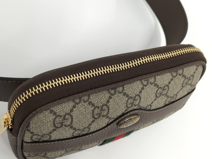 GG Supreme Ophidia Belt Bag 519308