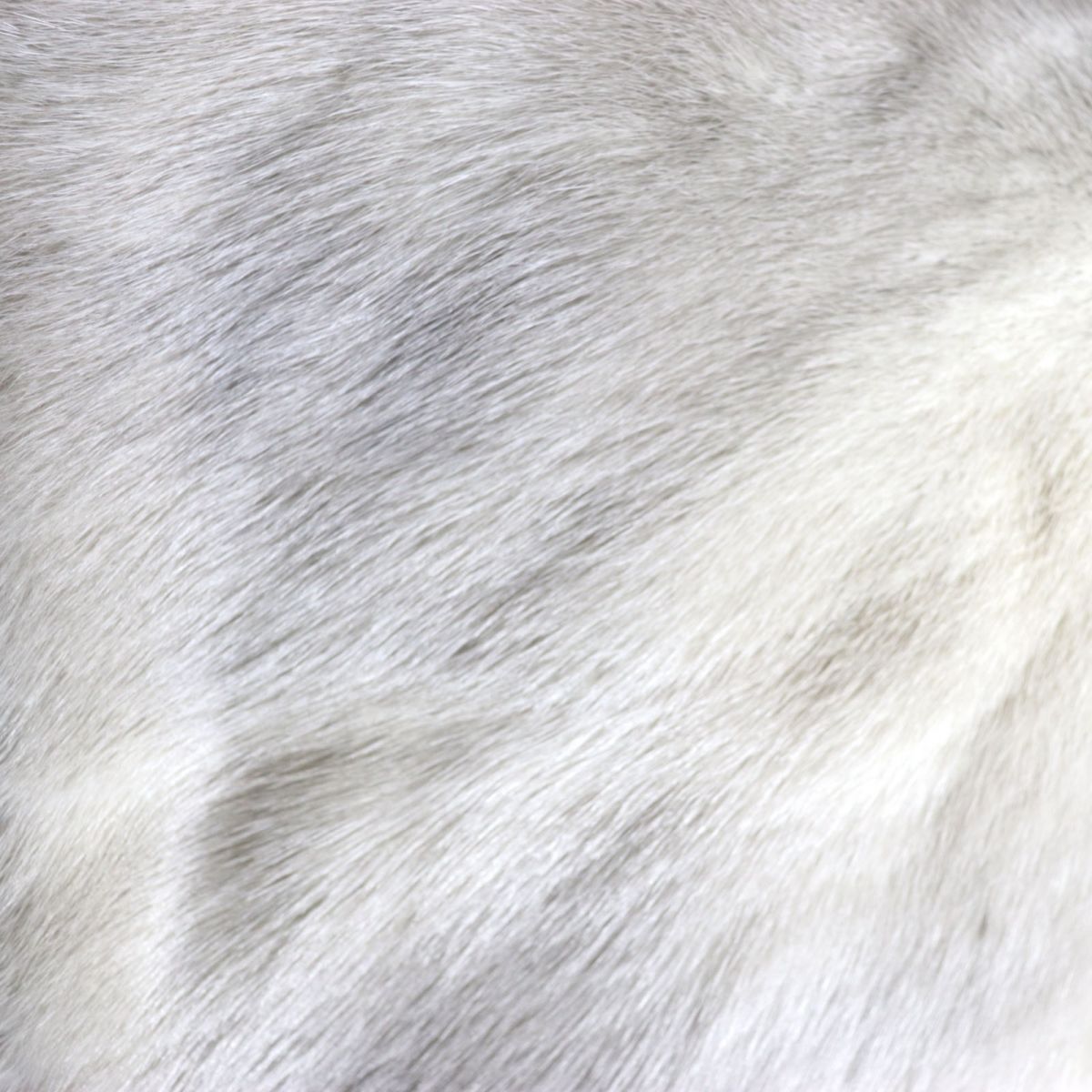 Sapphire Mink Genuine Fur Shawl Stole Grey