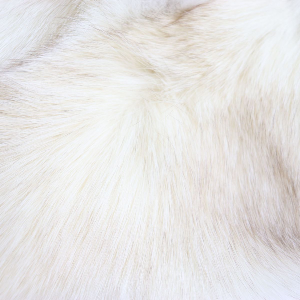 SAGA FOX Genuine Fur Shawl Stole Beige