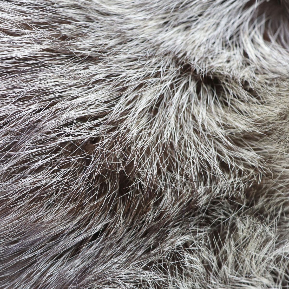 SAGA FOX Genuine Fur Shawl Brown Ivory