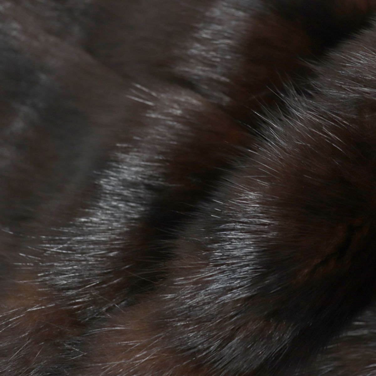 SABLE Genuine Fur Shawl Stole Dark Brown