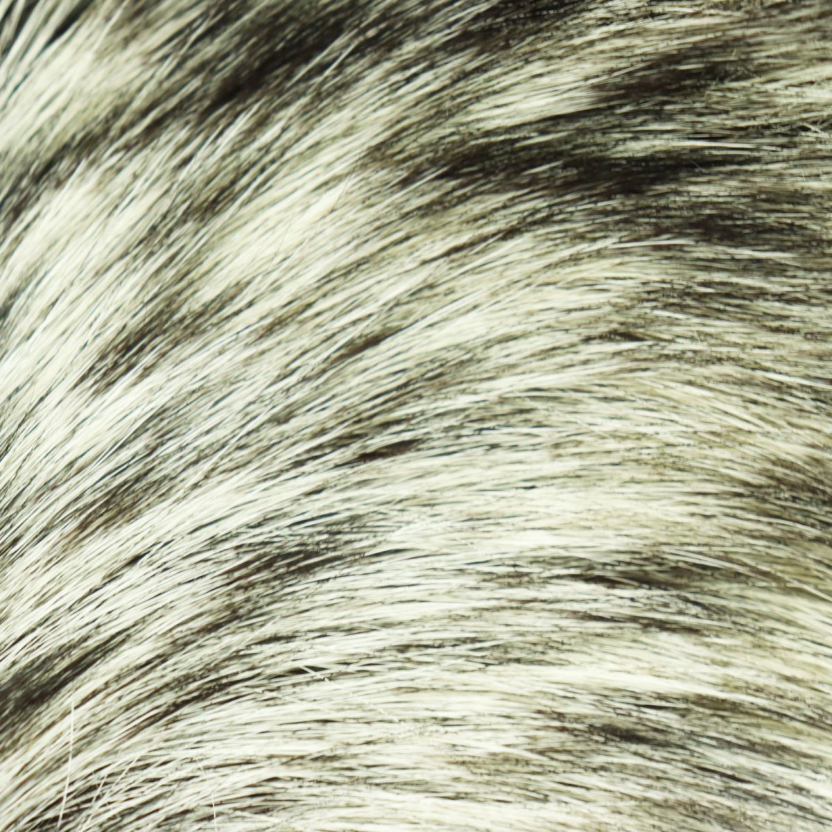 SAGA FOX Genuine Fur Shawl/Stole White Brown