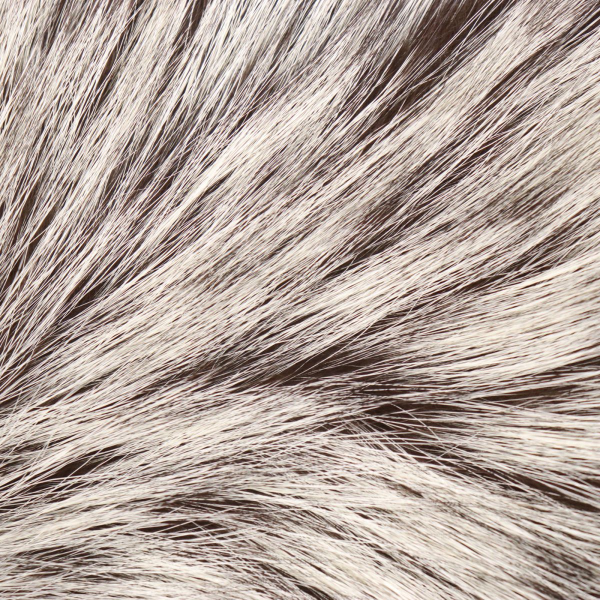 FOX Genuine Fur Shawl Stole Tippet White Brown