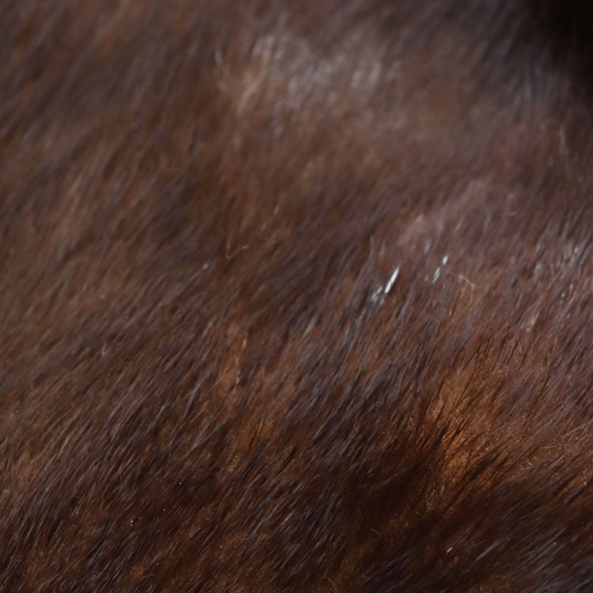 Mink Fur Shawl with Embroidery and Tassels