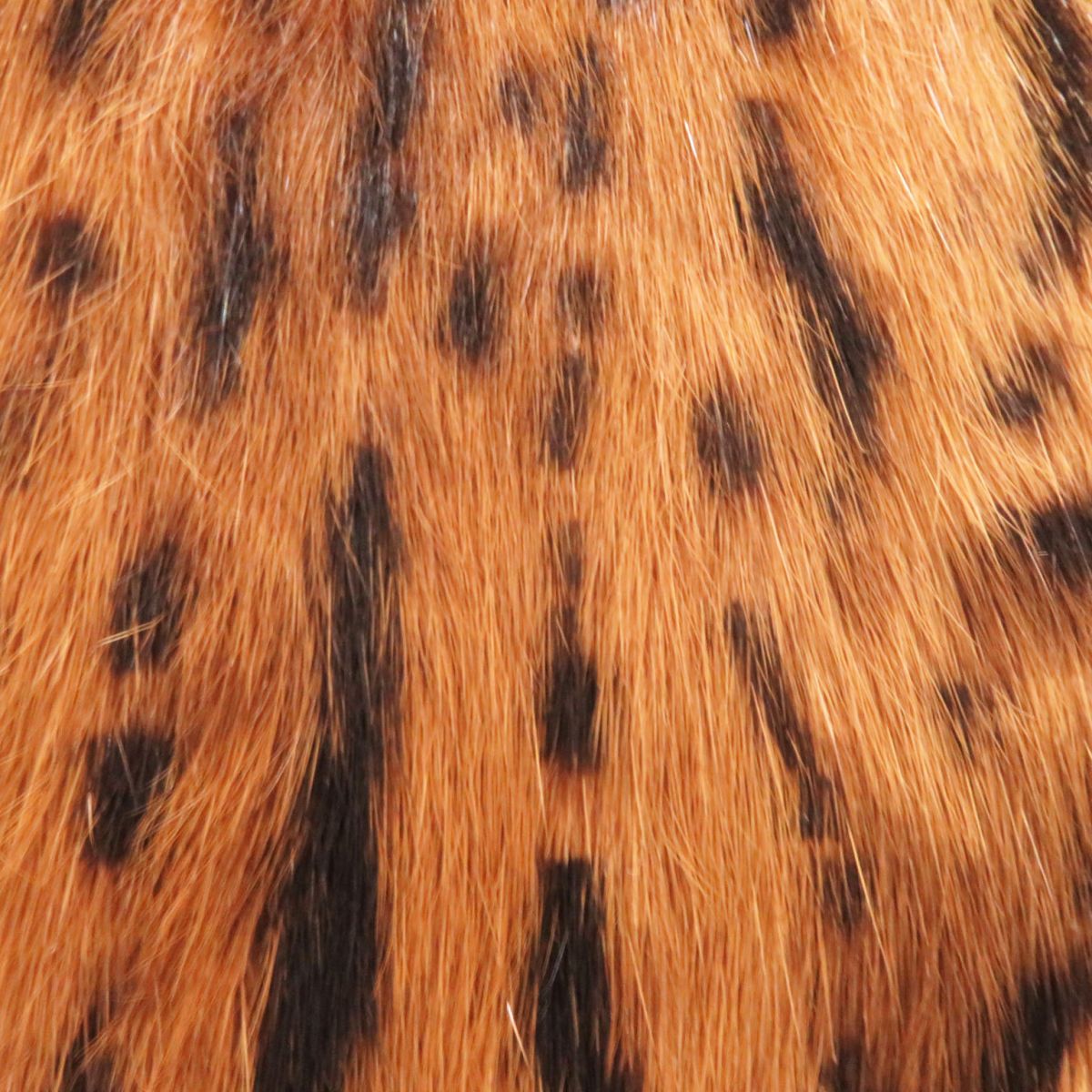 Saint Laurent Women's Rabbit Fur Coat Leopard