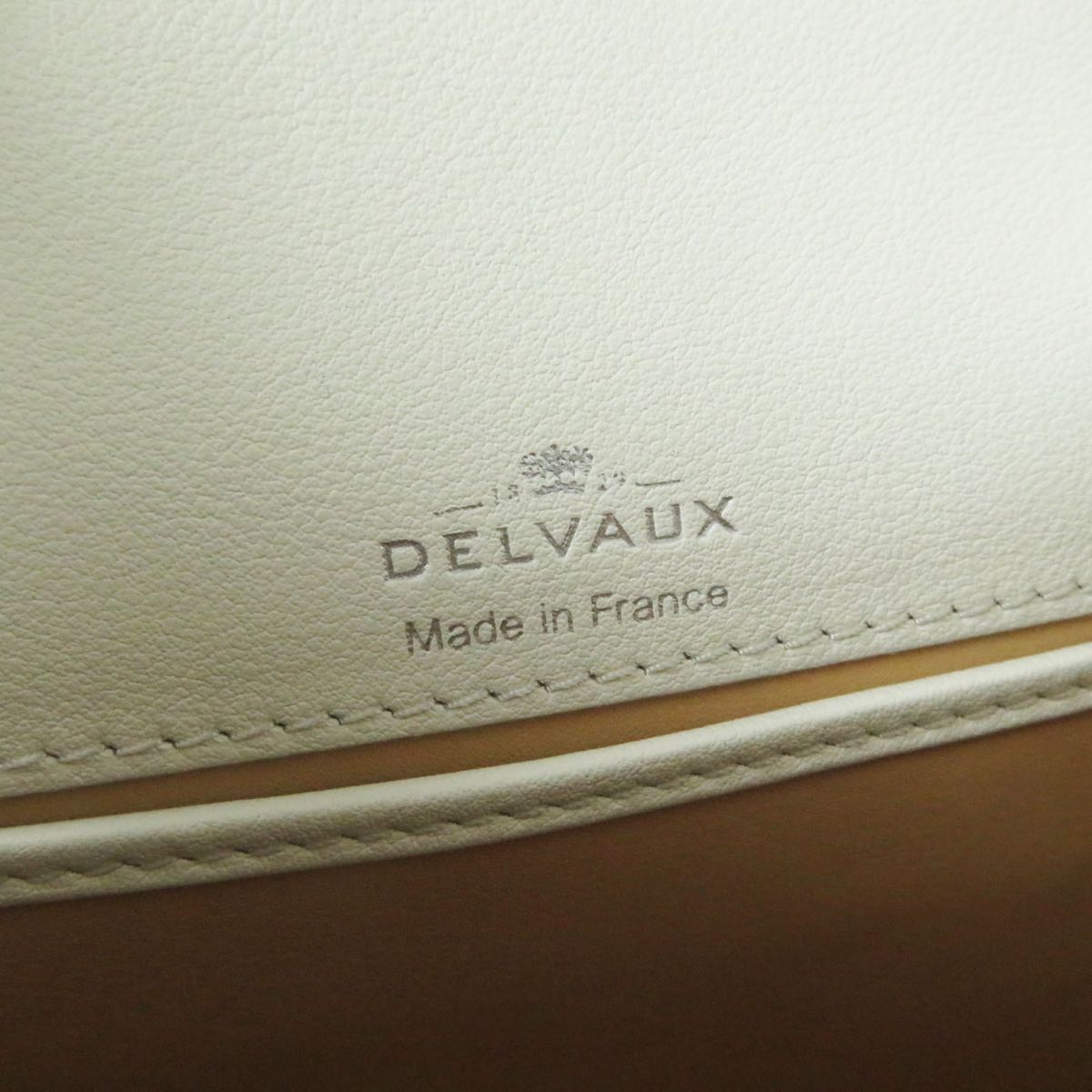 Delvaux Brillant Mini 2WAY Hand/Shoulder Bag