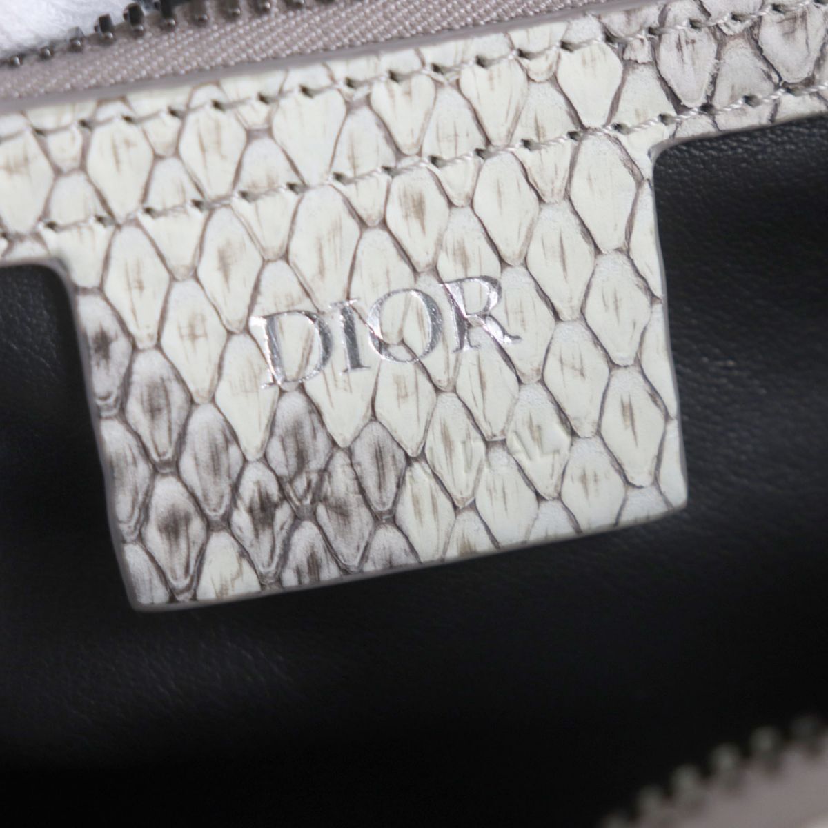 Dior Python Leather Saddle Bag 2WAY