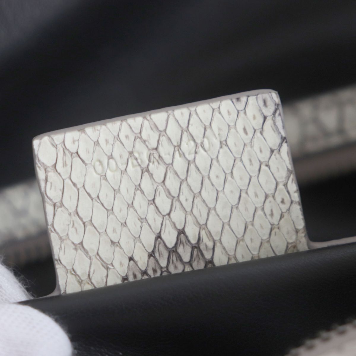 Dior Python Leather Saddle Bag 2WAY