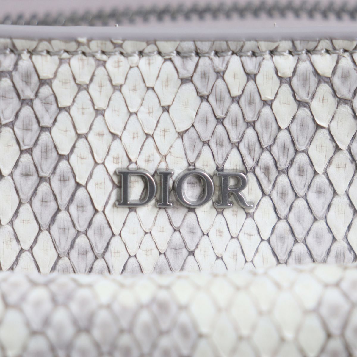 Dior Python Leather Saddle Bag 2WAY