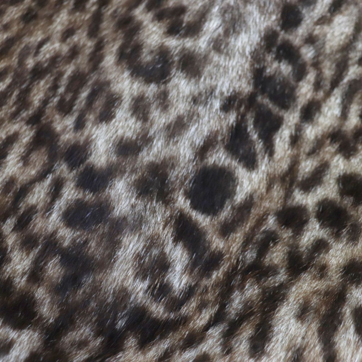 Saint Laurent Marmot Fur Leopard Jacket Brown