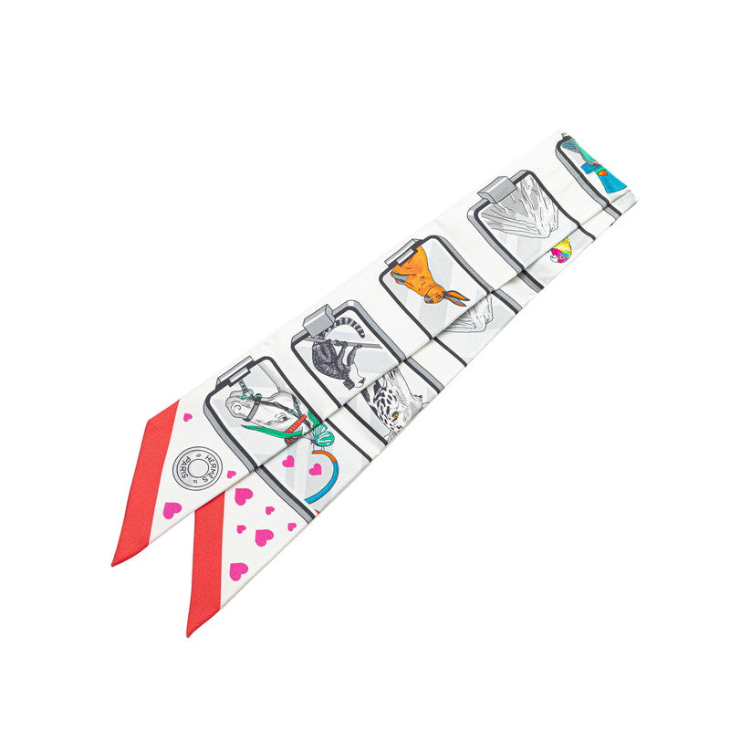 Hermes HERMES STORY Silk Scarf