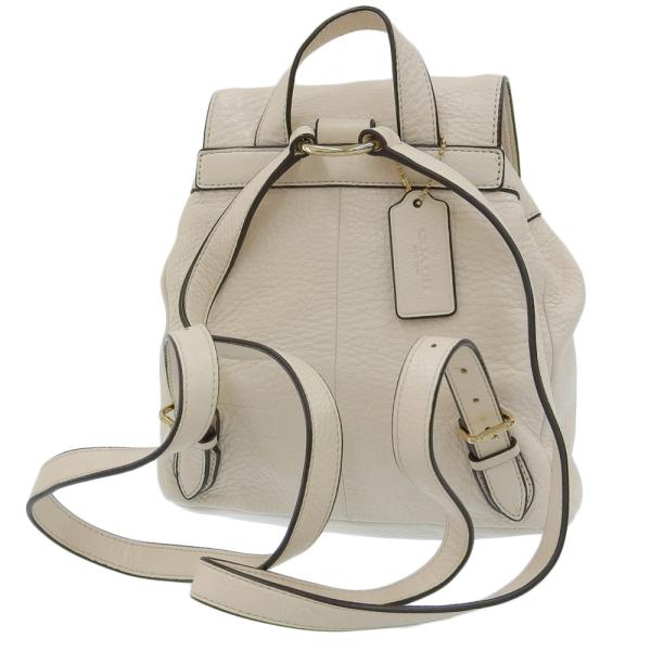 Coach null Leather Backpack F37621