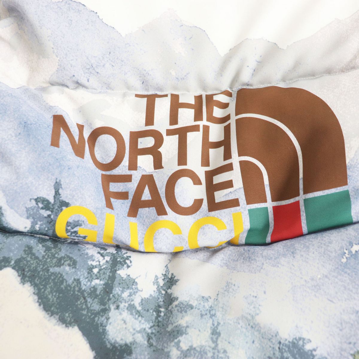 Gucci x The North Face Trail Print Down Jacket L